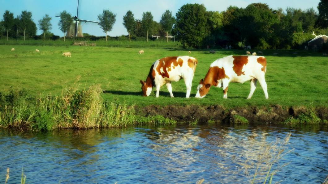 Natuurinclusief boeren